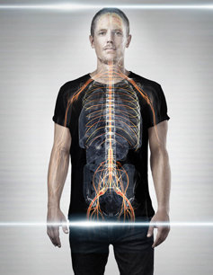 nervous system of body